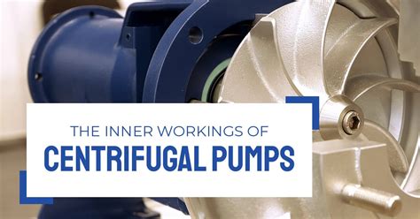 dxp centrifugal pump|dxp best pump works.